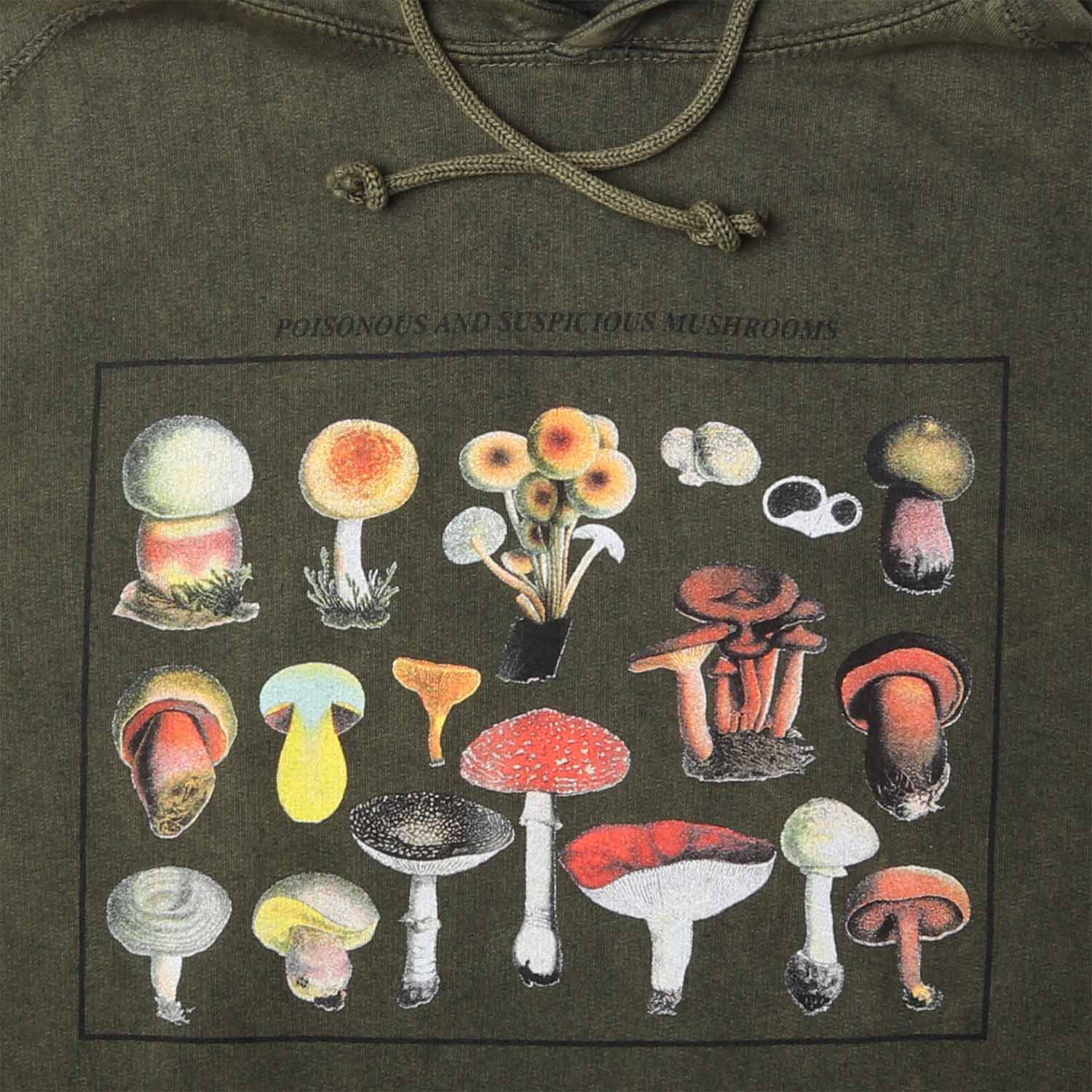 Mushroom Species Relaxed Fit Hoodie Sweatshirt - Image 3