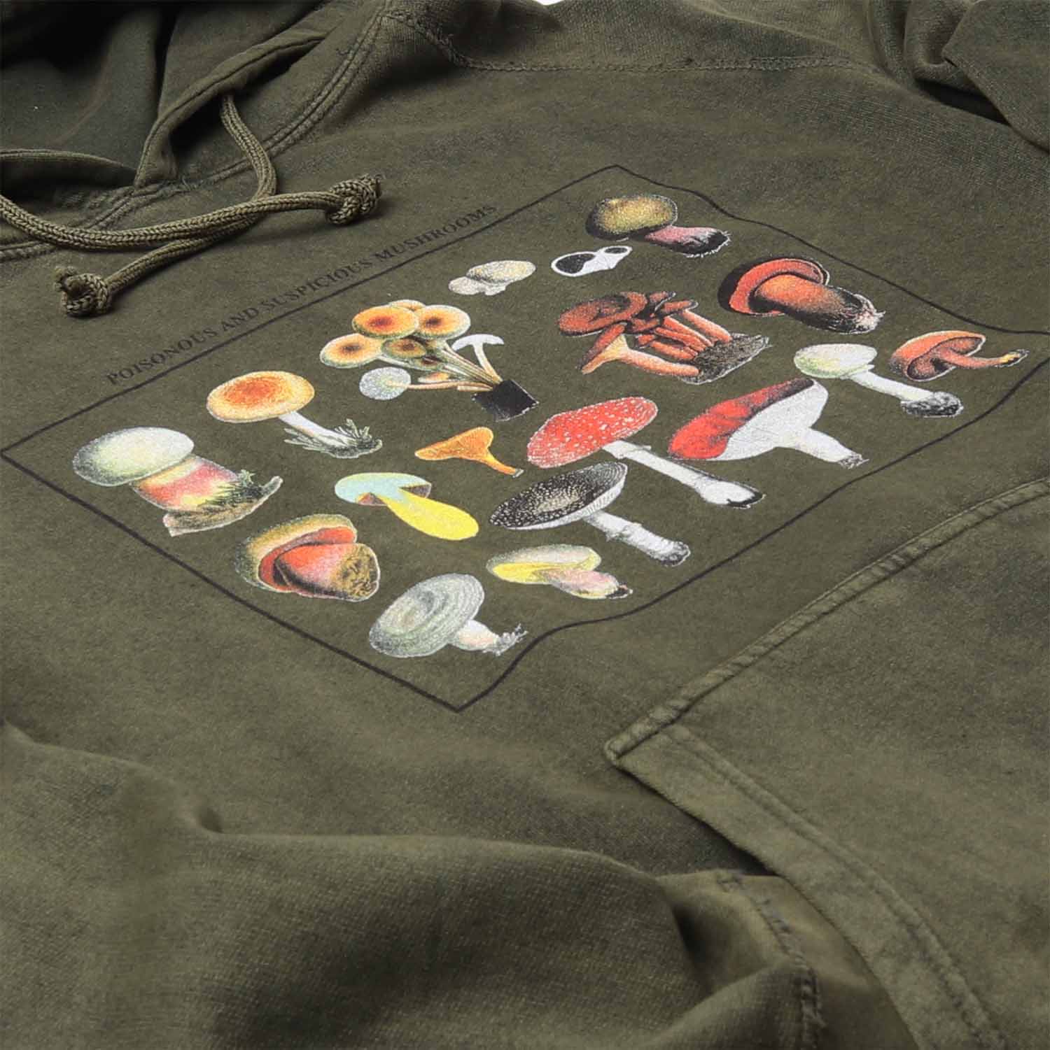 Mushroom Species Relaxed Fit Hoodie Sweatshirt - Image 4