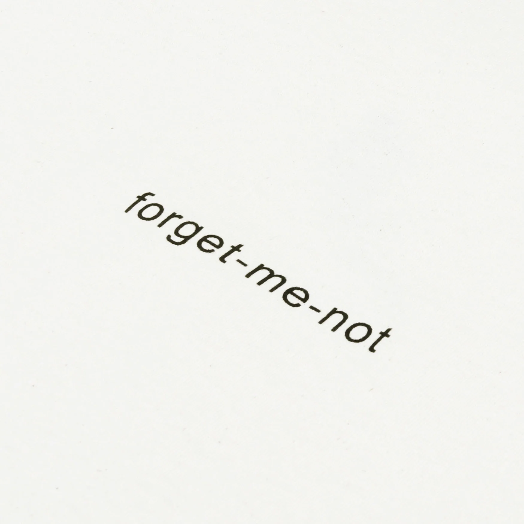 FORGET ME NOT EMBROIDERY - Image 4