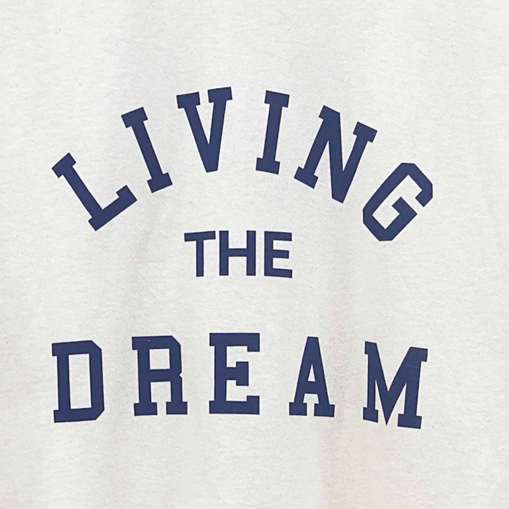 Living the Dream - Image 4