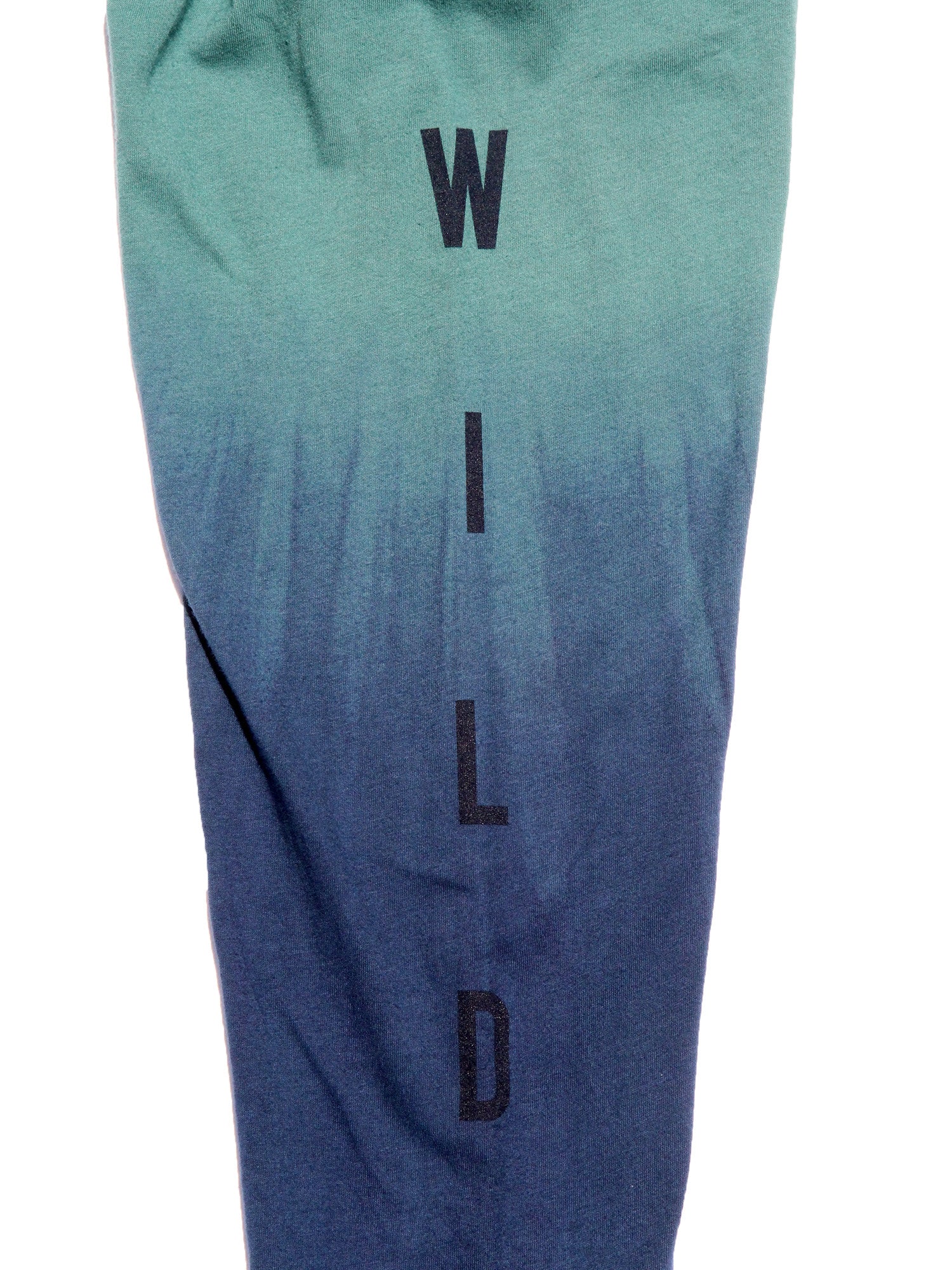 Up a Creek Bear in a Canoe Dip-Dye long sleeve graphic tee - Image 5